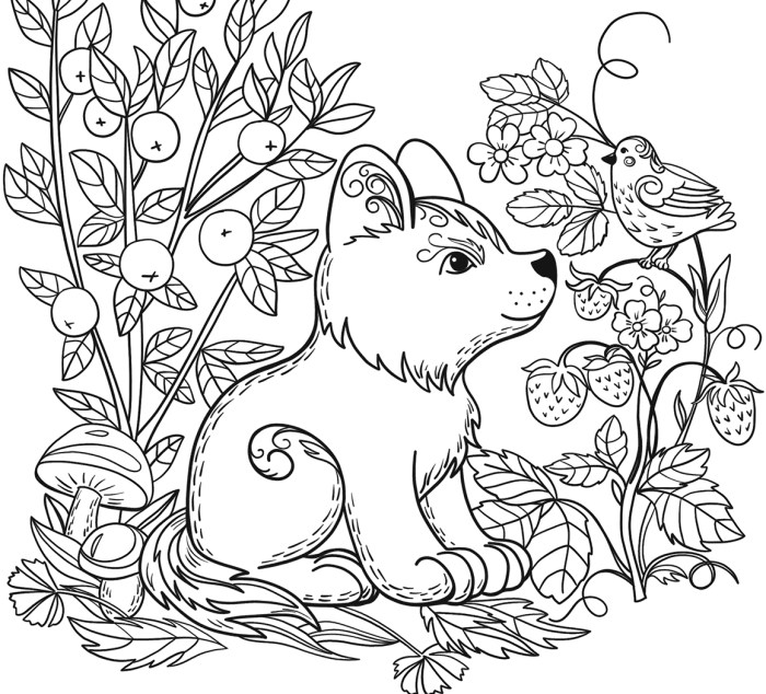 Animal coloring book pages